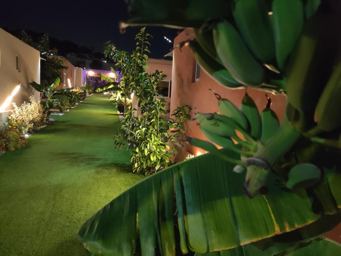 Modular Bungalows With Heated Pool Artemis Greece Exterior foto